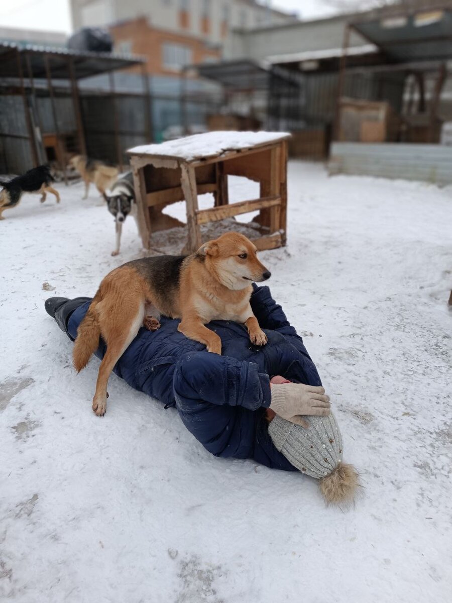 Очередная жертва обнимашек. Все было по взаимному согласию