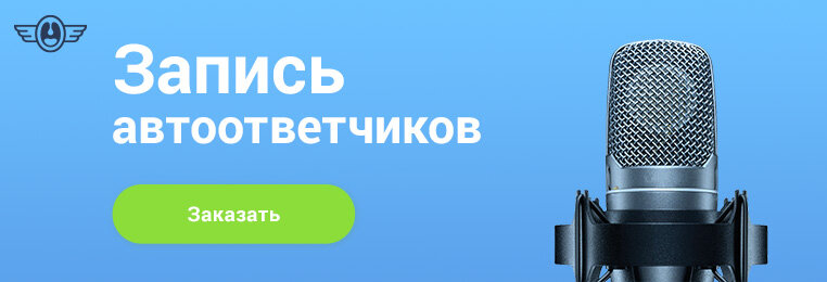 https://www.demyanoff.ru/golosovoe-privetstvie-ivr