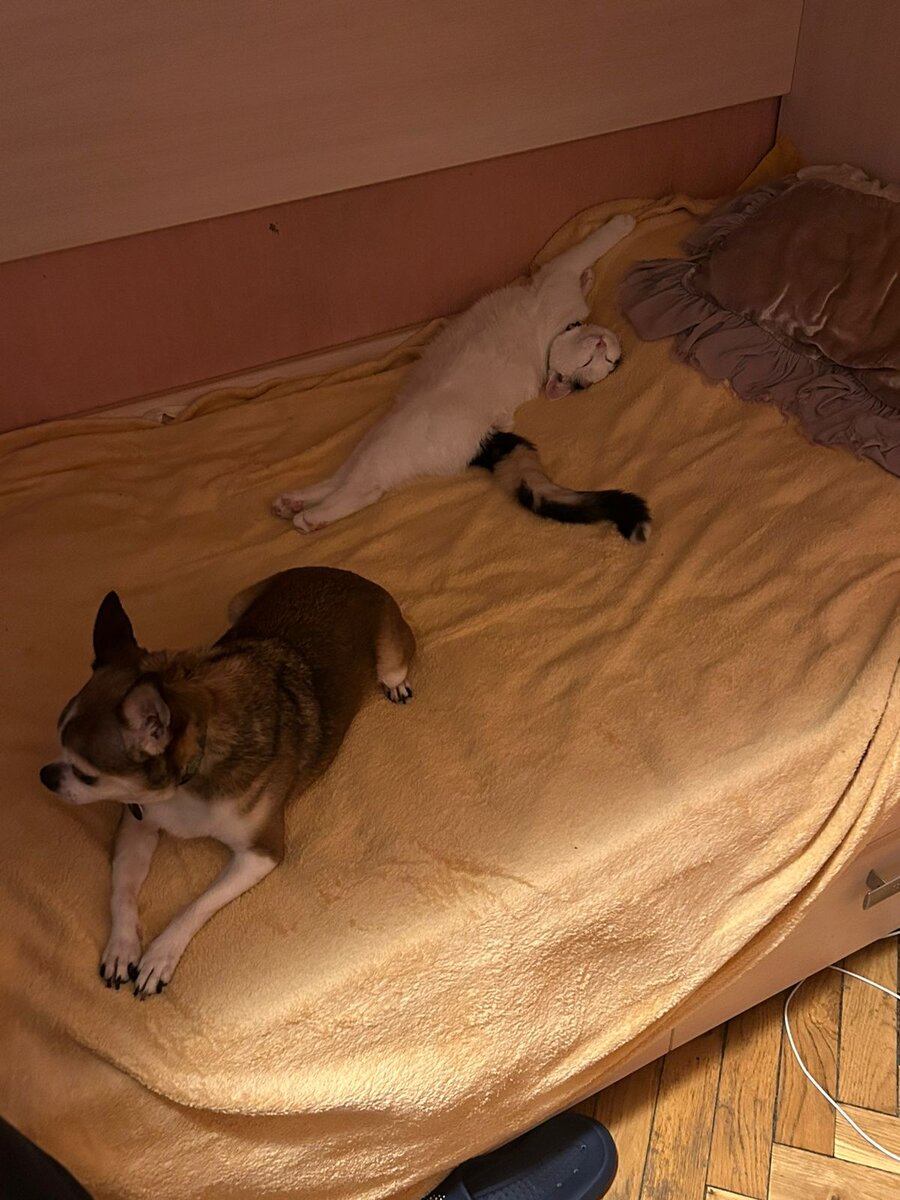 Вот так выглядит счастье ❤️