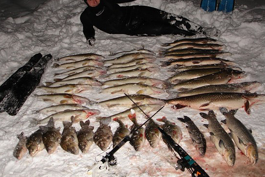 океанариум винперл. место где рыбы. место где рыбы. океанариум в паттайе тайланд. акула в московском океанариуме.