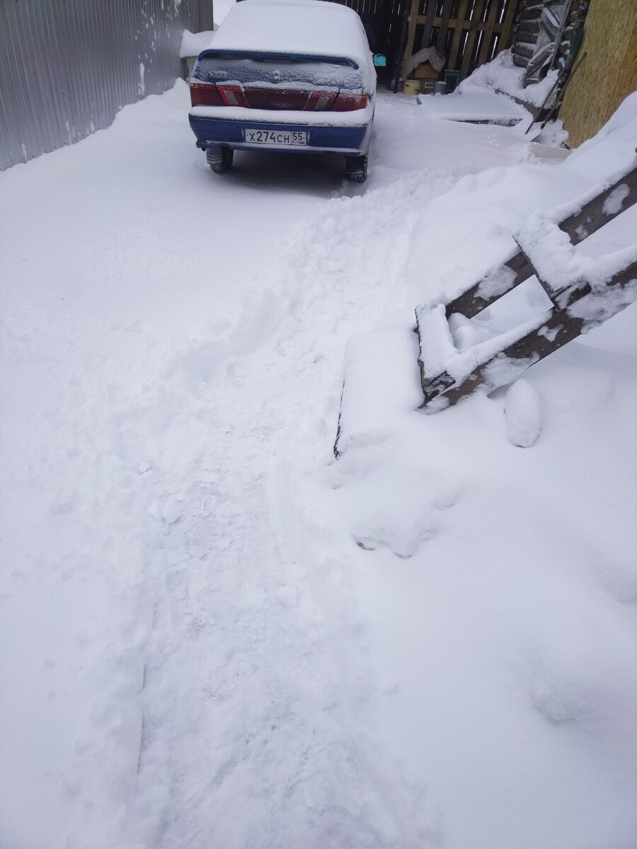 Дети пробили тропу когда уходили в школу.