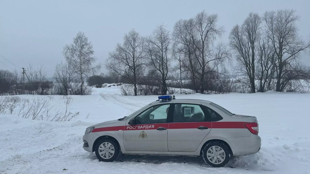 Падение беспилотника и «радужный» скандал обеспокоили нижегородцев |  newsnn.ru | Дзен