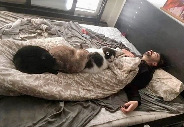 Задание: Напишите весёлое четверостишие по этой картинке: