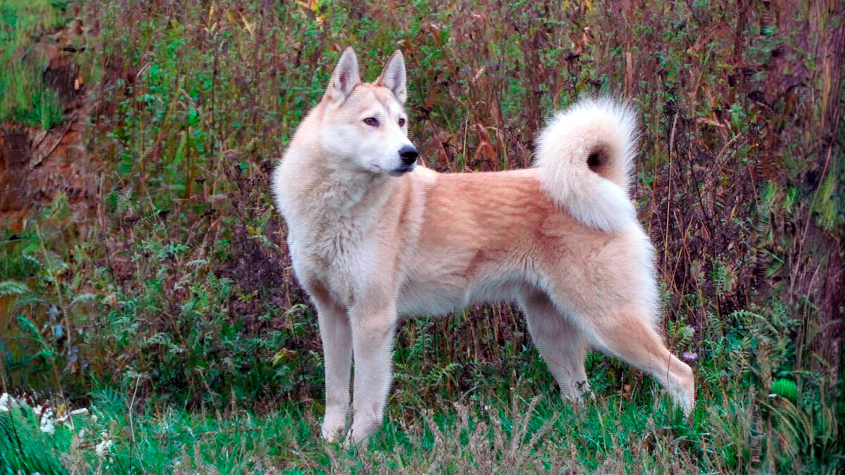 источник фото: kartinki.pics