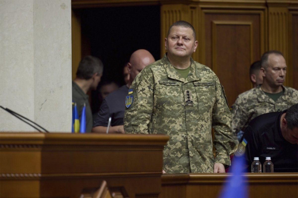    Залужный заявил об отсутствии должности после увольнения