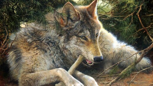 Жадный волк. Русская сказка