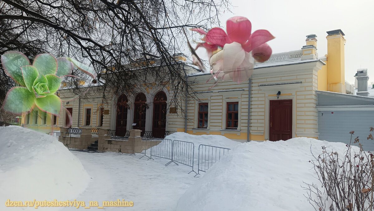 За окном мороз и снег, а здесь весь год тепло и зелено | Путешествия на  машине | Дзен