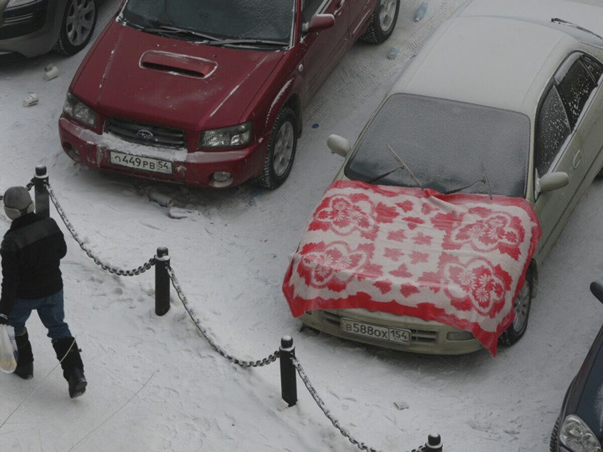    Морозы в Новосибирске© РИА Новости / Александр Кряжев