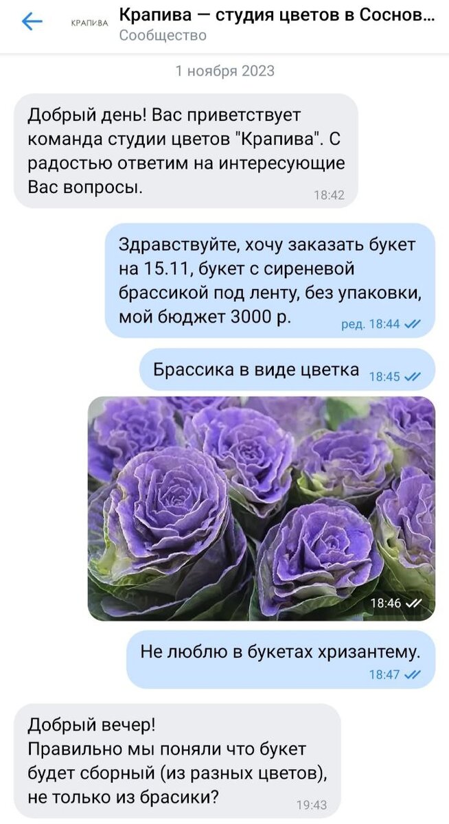 Скриншот переписки. Листайте