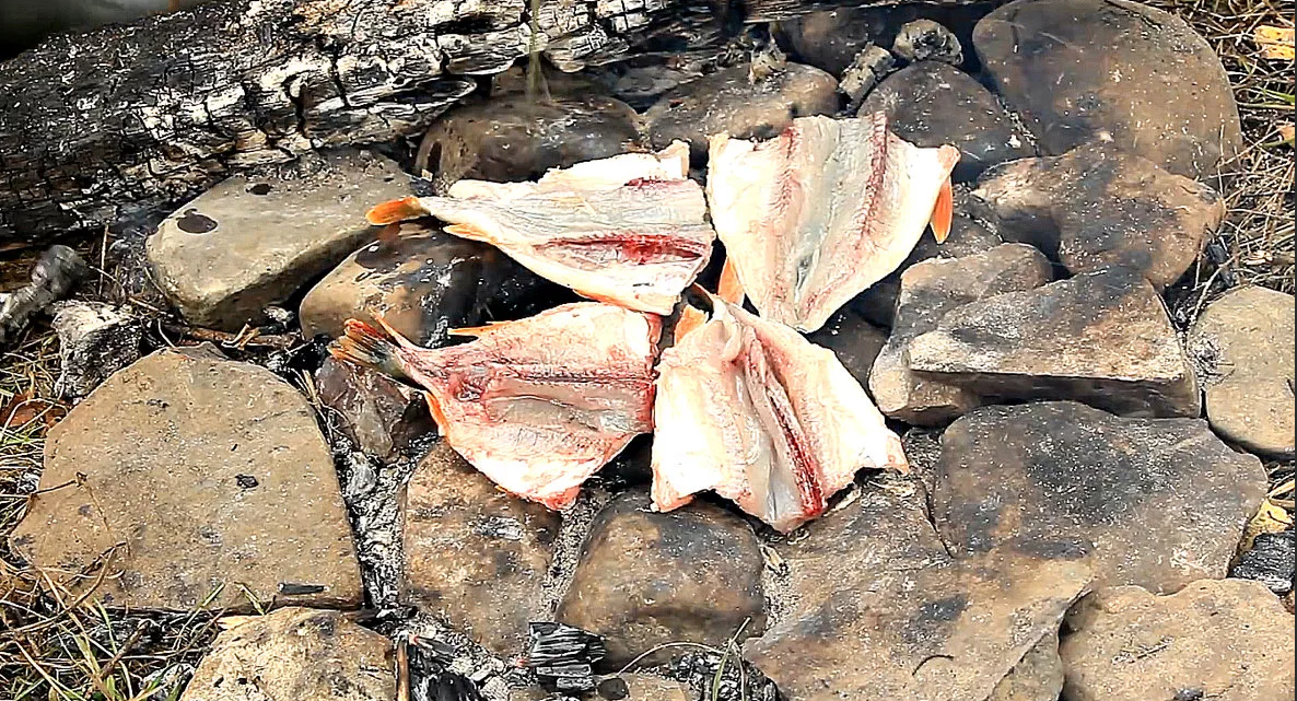 Какое значение чешуи у рыб. Покровы тела рыб. Тип чешуи у костистых рыб. Строение чешуйки рыбы. Чешуя рыбы возраст.