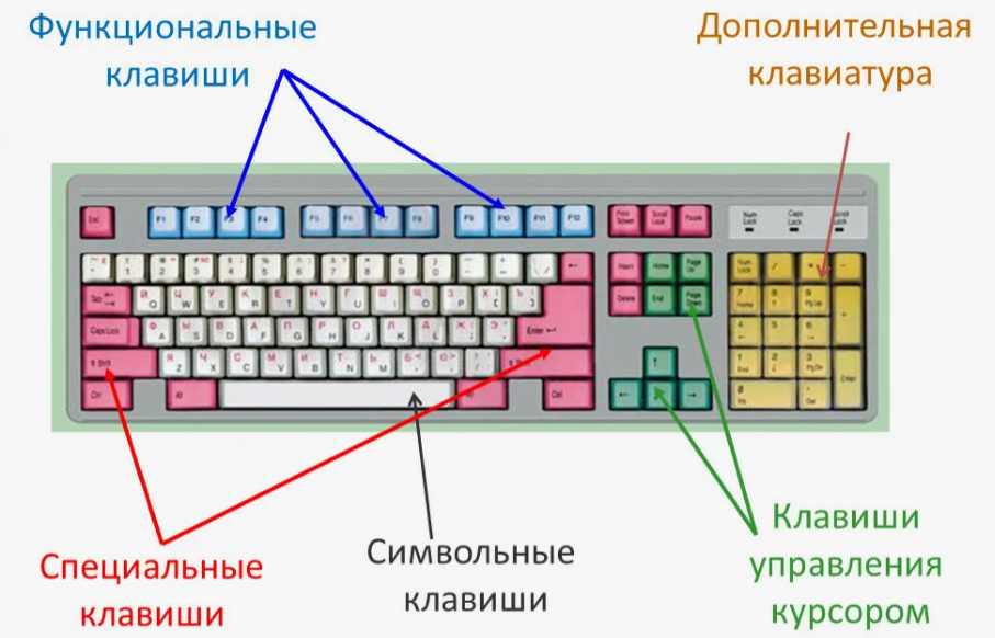 Составляющие клавиатуры 6. Клавиши дополнительной клавиатуры Информатика 5. Какие кнопки управления на клавиатуре компьютера. Из каких частей состоит клавиатура компьютера. Клавиатура схема функциональные элементы.