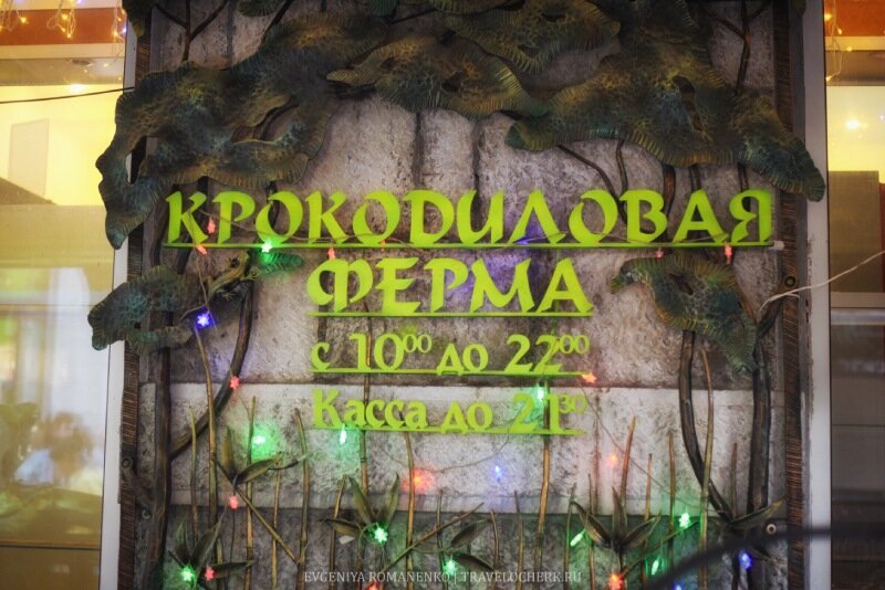 Ялтинский крокодиляриум, фото автора