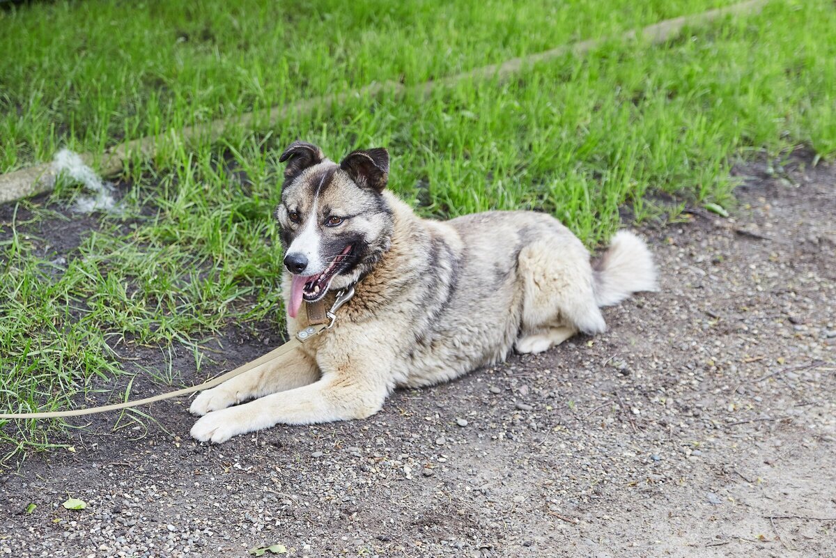Рамис торговый дом. Рамис расходные материалы. Рамис торговый дом. Посуда юмакс. Рамис имя.