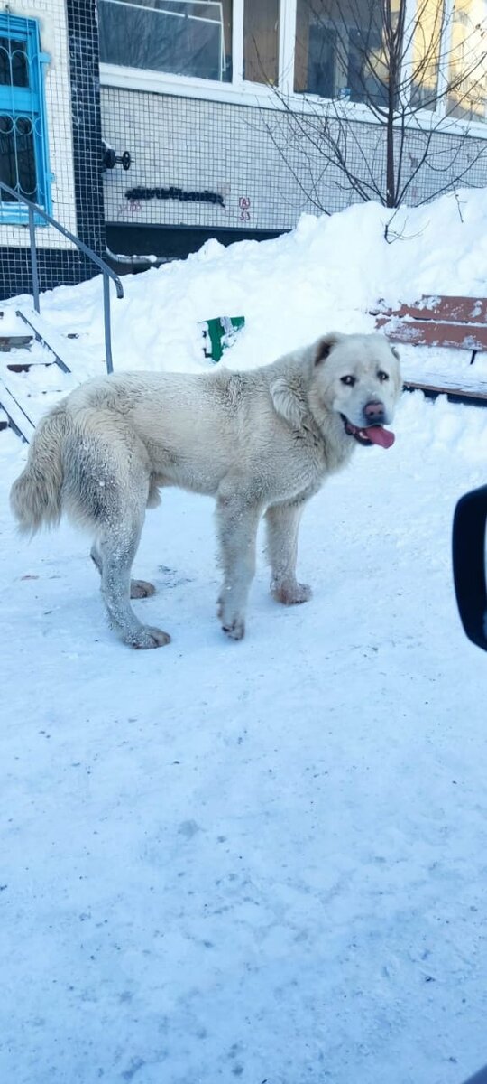 Из машины лучше не выходить