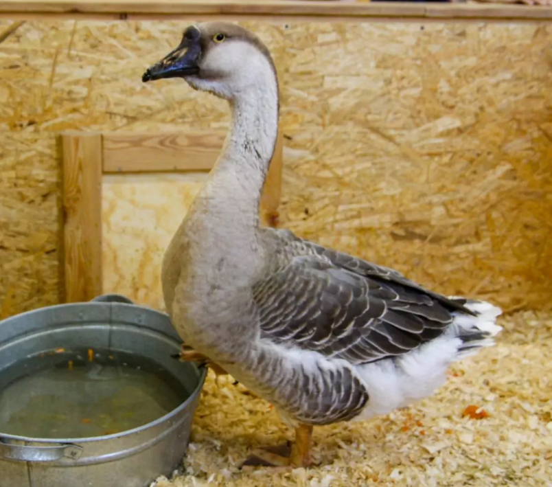 карта экологии красноярска. красноярск ул республики на карте. где в красноярске можно получить. город красноярск. красноярск места.