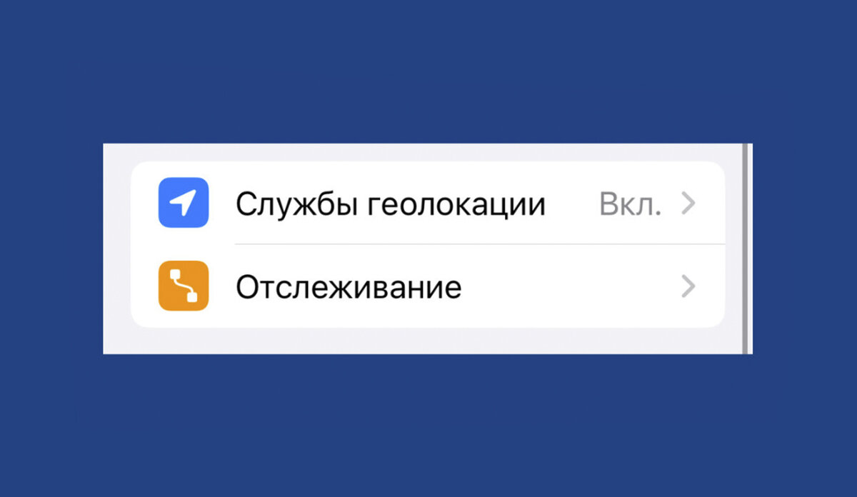 Кот 30 вопросов. Кот 30 вопросов