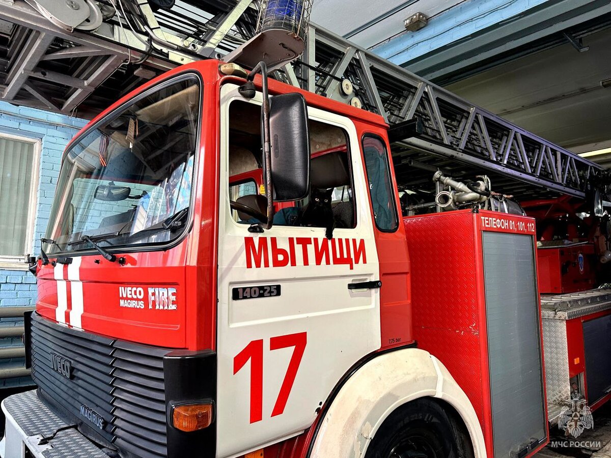 На фото Мусю найдёте не сразу. Фото: МЧС