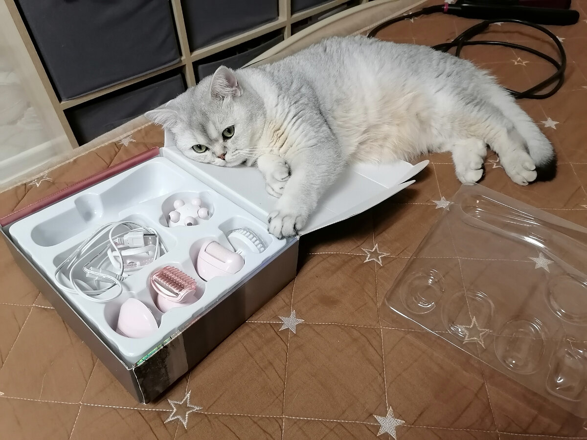 Ничто так не бодрит. Стишки пирожки веселые. Бодрый и веселый мем. Ничто так не бодрит с утра как. Ничего так не бодрит с утра.