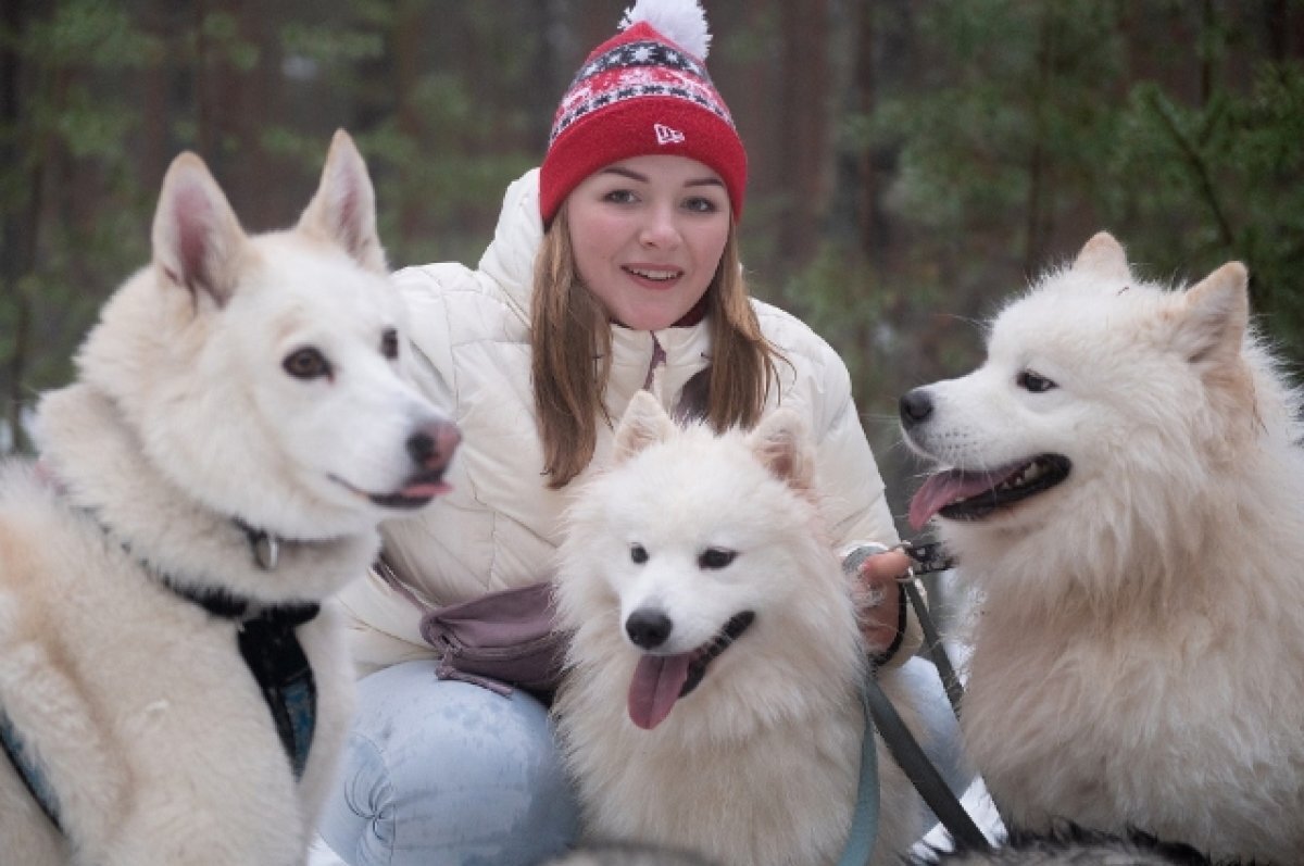    Первая хаски у Алены появилась в 18 лет.