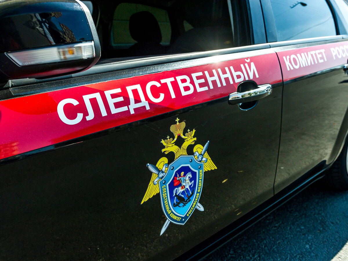 Открытые источники пока молчат о результатах проверки, проводимой СКР, по факту гибели кота Твикса, потому что не прошел отведенный законом срок. Фото из открытых источников. 