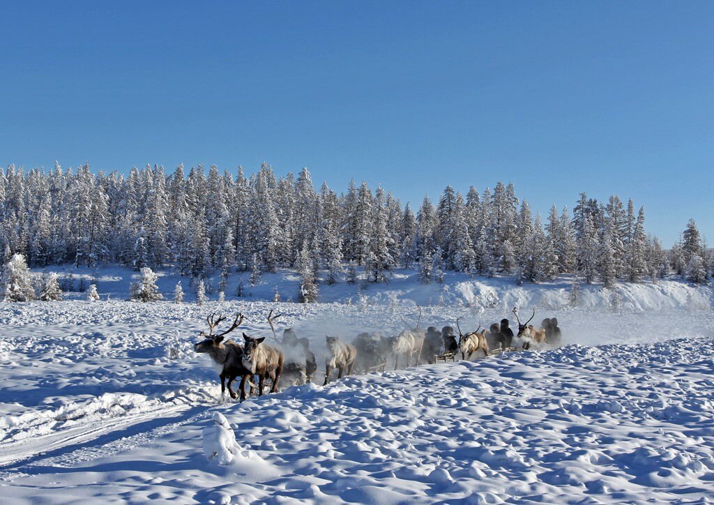 Якутск Оймякон