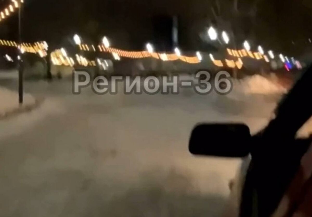 Хамские гонки по дорожкам парка в Воронеже сняли на видео | Горком36 |  Воронеж | Дзен