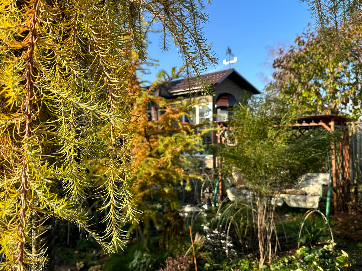 Фото в саду автора.