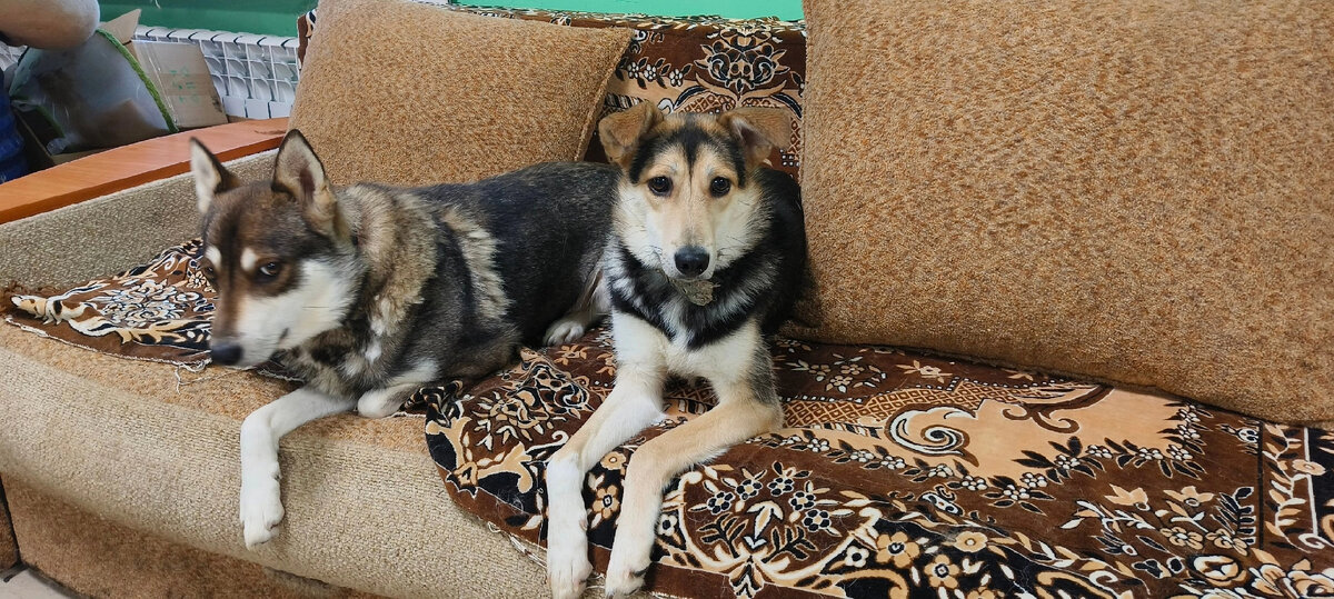 Габи справа ,11-12 месяцев. Мама Найда- слева года 3-4