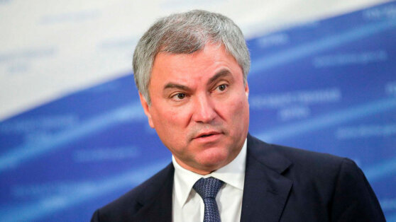    Володин заявил, что иноагентов нужно лишить всех источников доходов в РФ Алина Городниченко