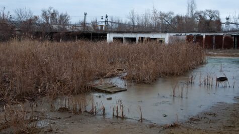    Фото: besarab.su