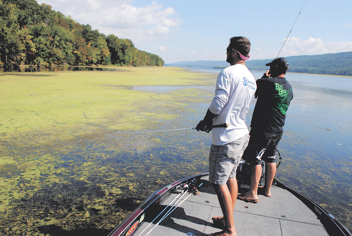 Рыбалка на озере Guntersville, штат Алабама