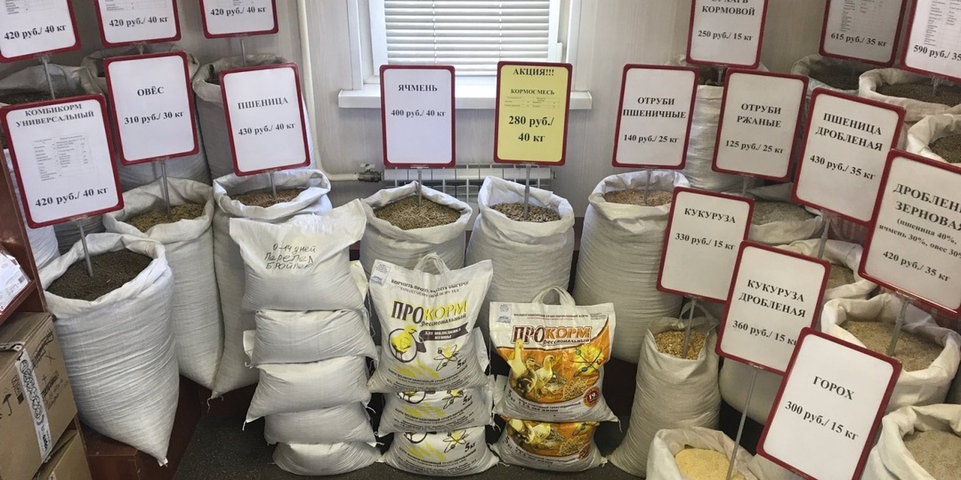 На чем можно разбогатеть в деревне? Реальные примеры из жизни