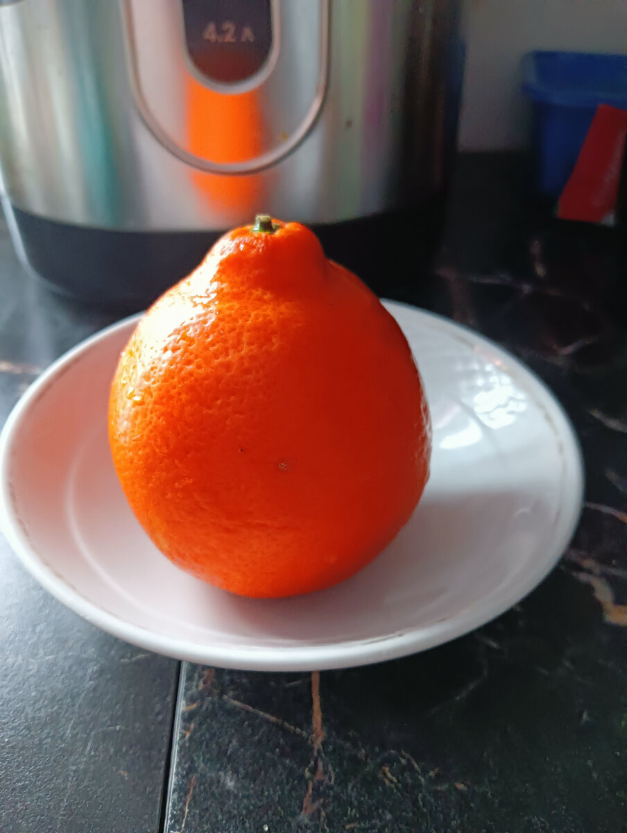 Оранжевое чудо .