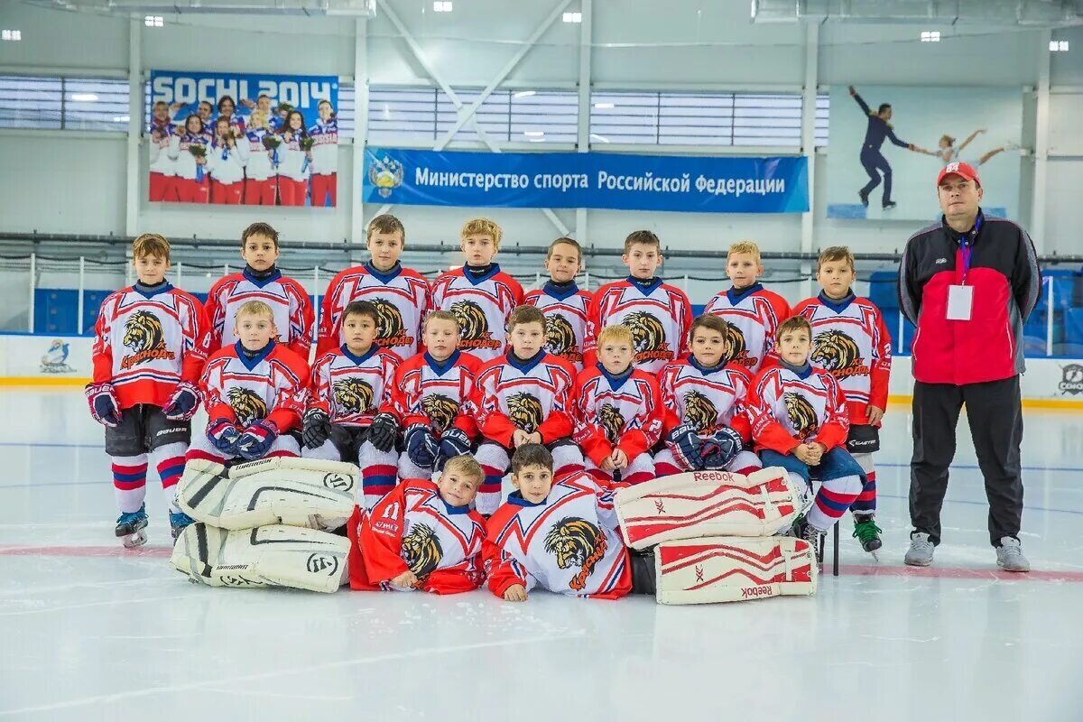 права 2022 водительские расшифровка категорий. со скольки лет можно ездить за границу.