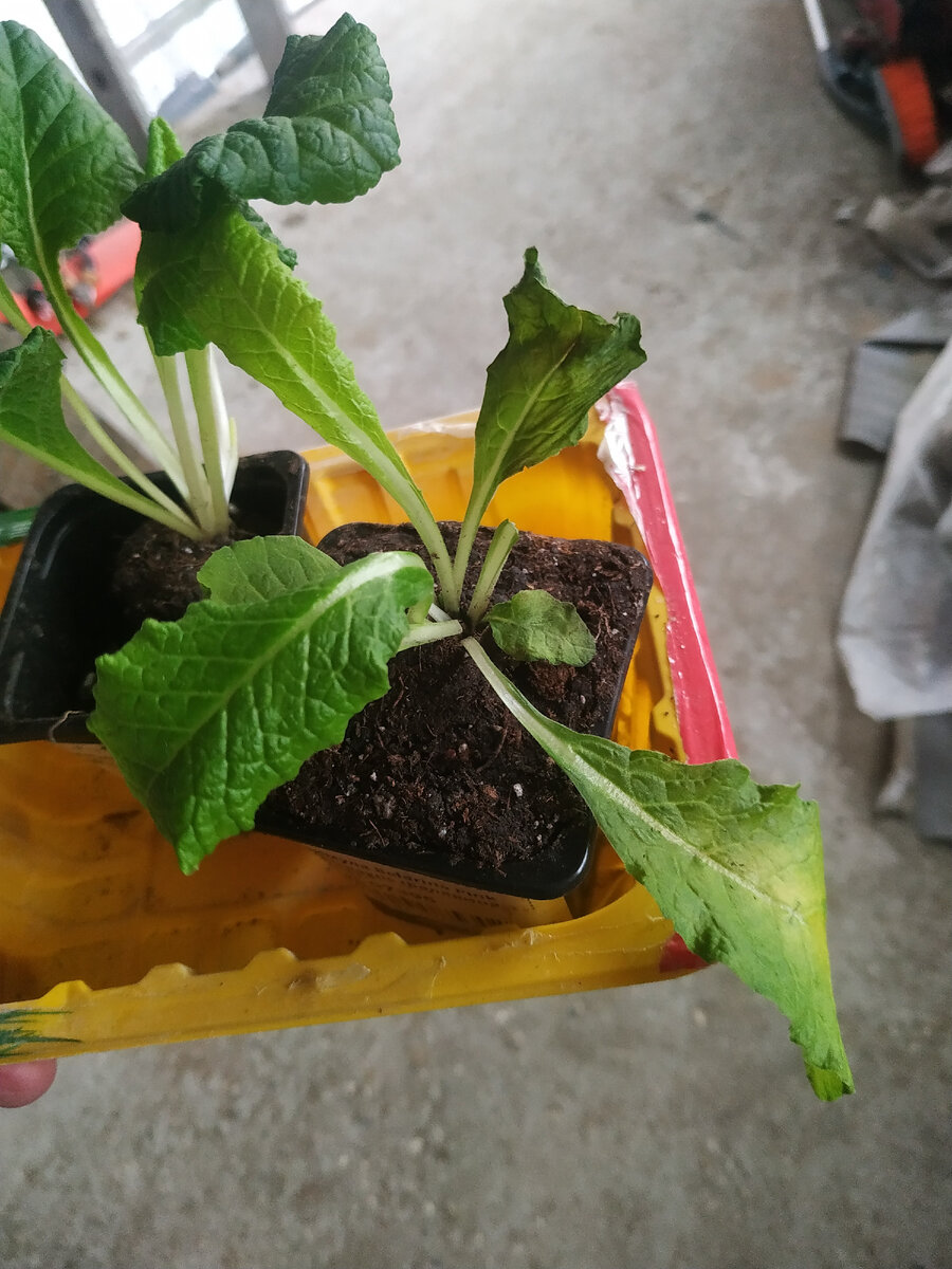 граница боевых действий на карте. состояние границ. верхний ларс мобилизационный пункт. лисичанск на карте украины боевые действия сейчас. состояние границ.