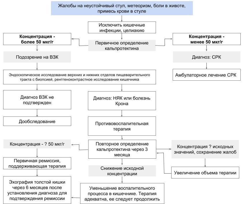 Кальпротектин мкг. Исследование уровня фекального кальпротектина. Кальпротектин фекальный показатели. Повышение уровня кальпротектина в Кале. Кальпротектин фекальный норма у взрослых.