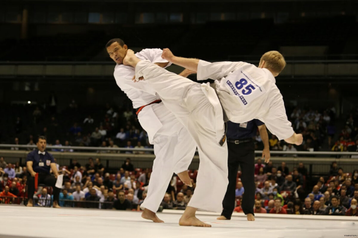 Фото из открытых источников