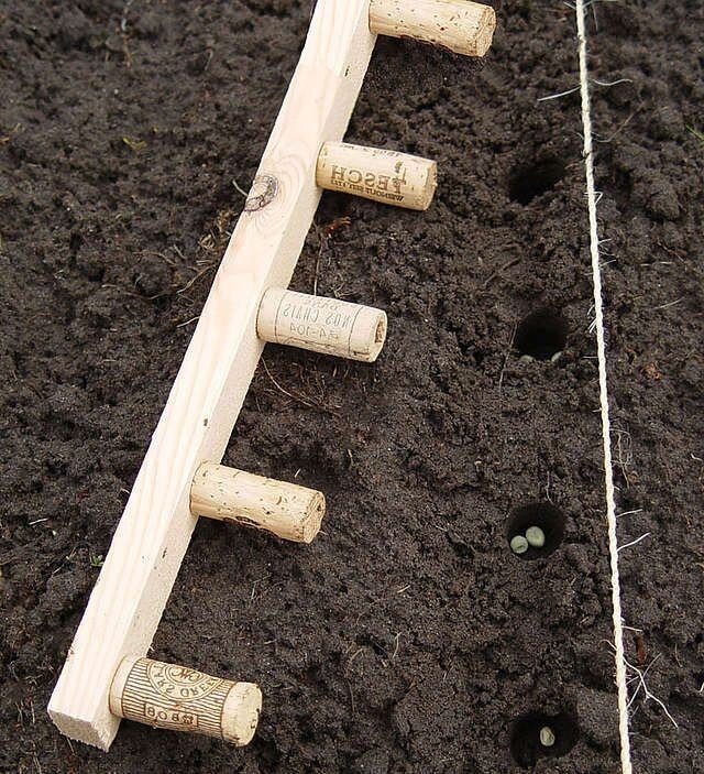 Фотоhttps://ru.pinterest.com