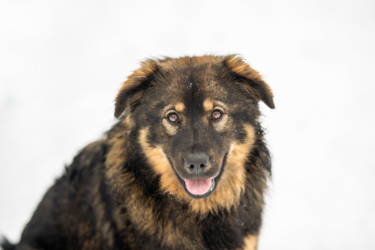 Очаровашка и улыбака