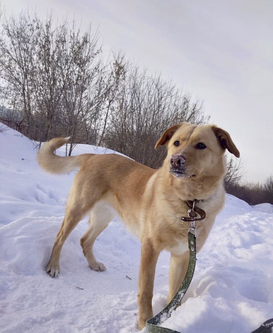 Уна ищет дом 