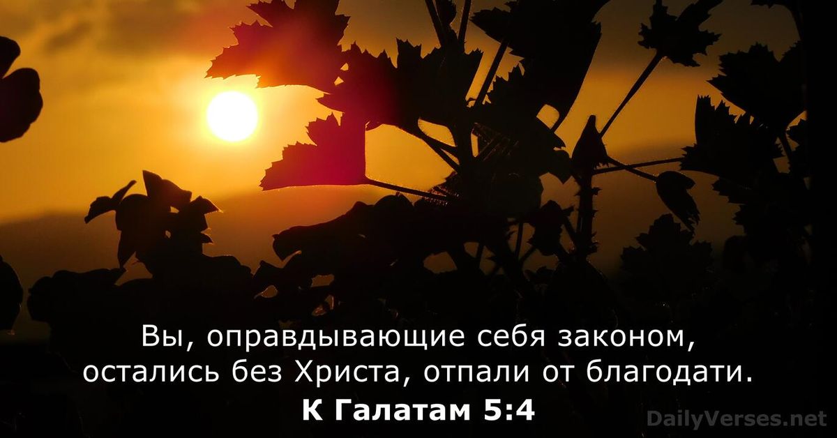 Источник: https://dailyverses.net/ru/к-галатам/5/4