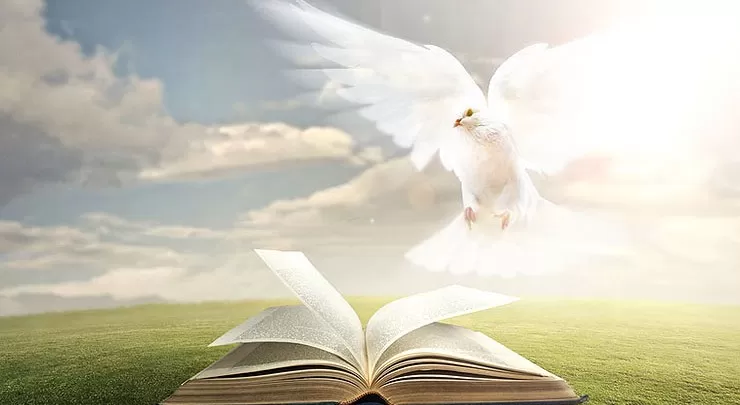 Источник: https://bible-help.ru/golub/