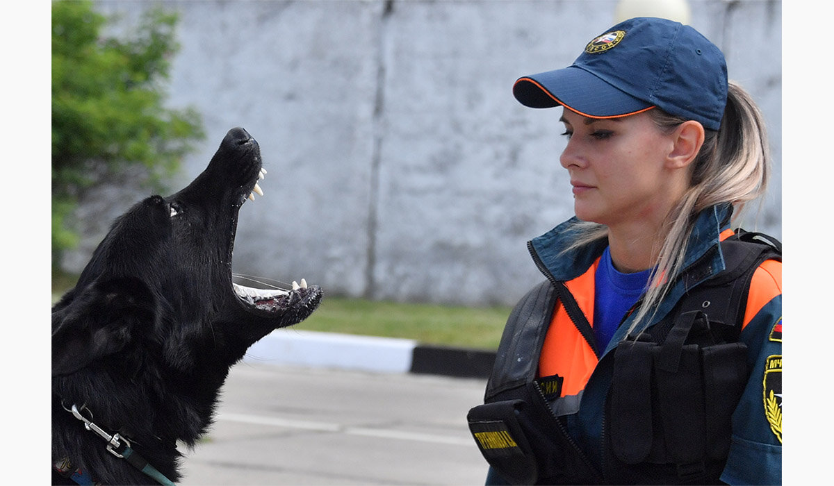    Komsomolskaya Pravda / Global Look Press