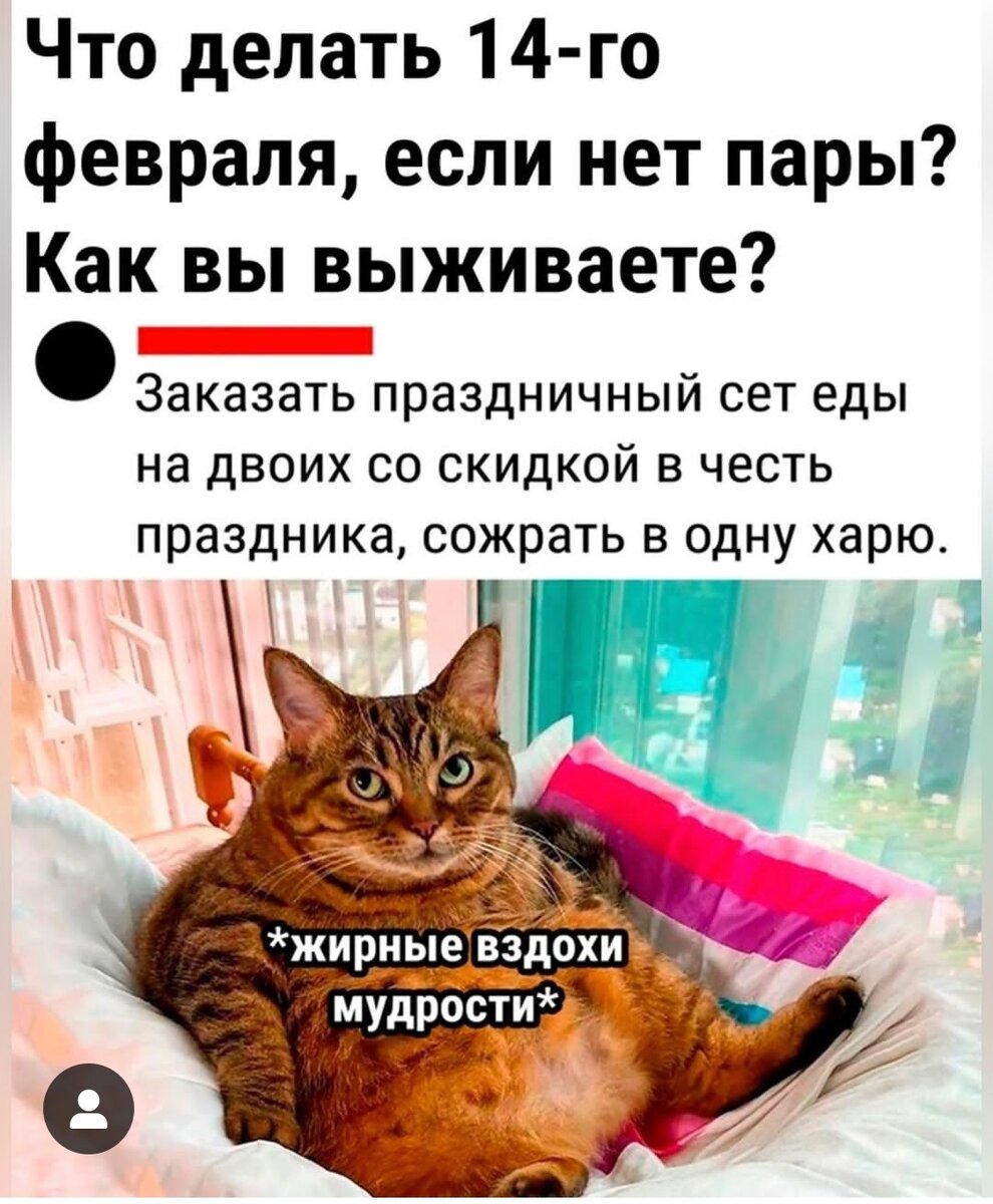 Картинка из сети интернет 