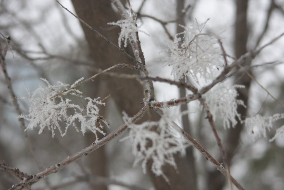    МЧС предупреждает ульяновцев о тридцатиградусном морозе 11 февраля