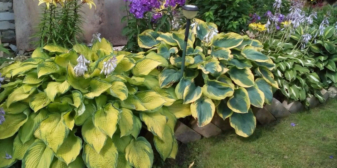 Все про хосты в вопросах и ответах. Ссылки на полезные статьи