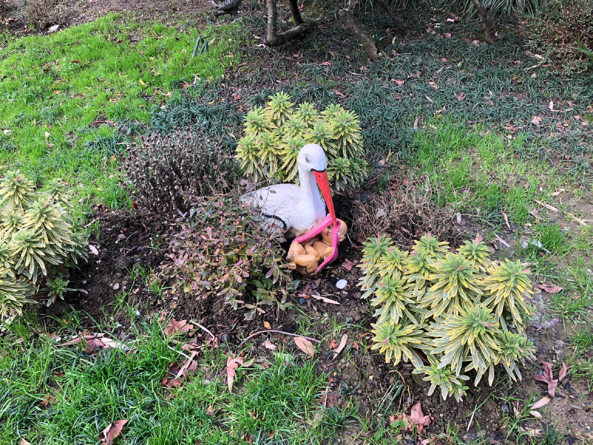 Сочи. Парк российско - японской дружбы