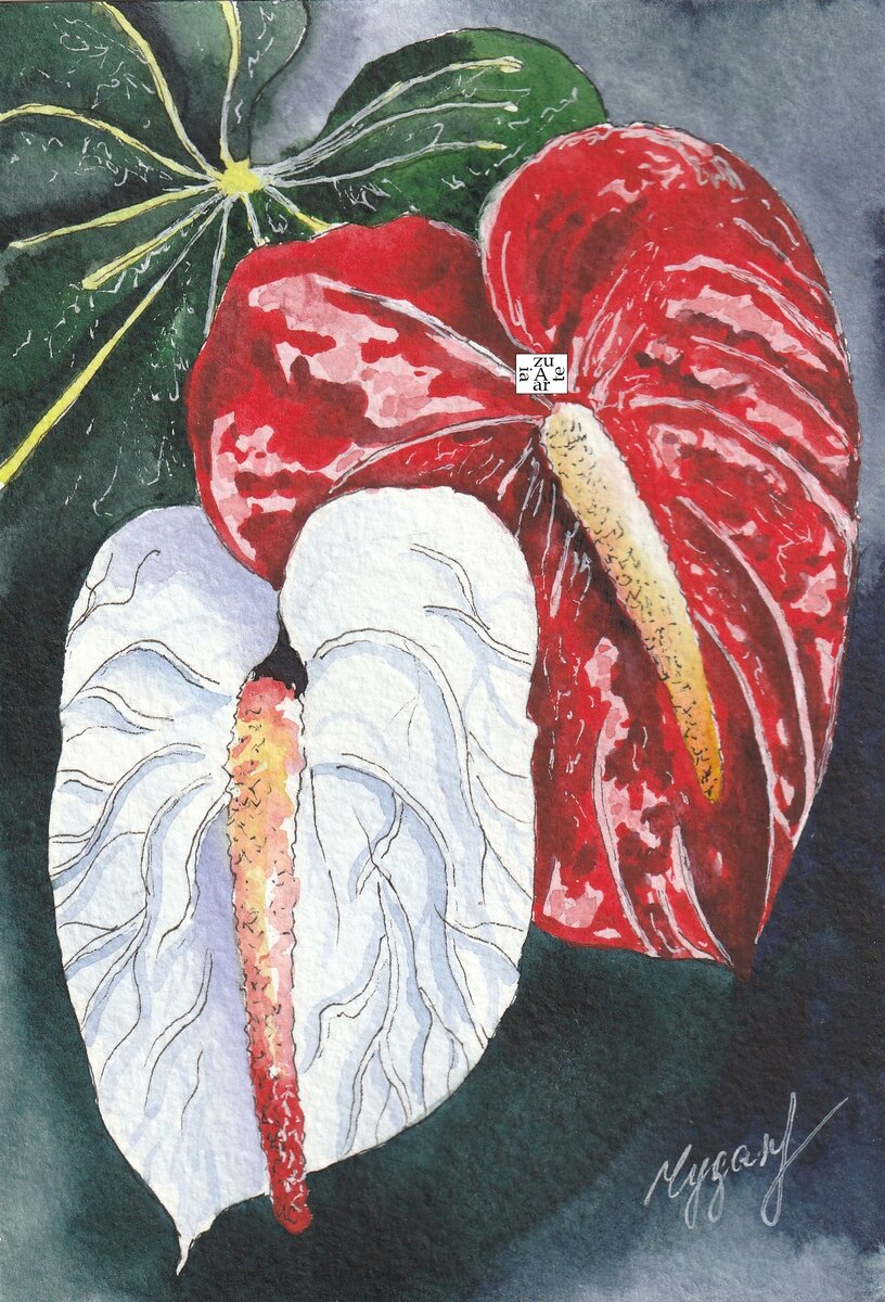 Альбом 8 марта. 43