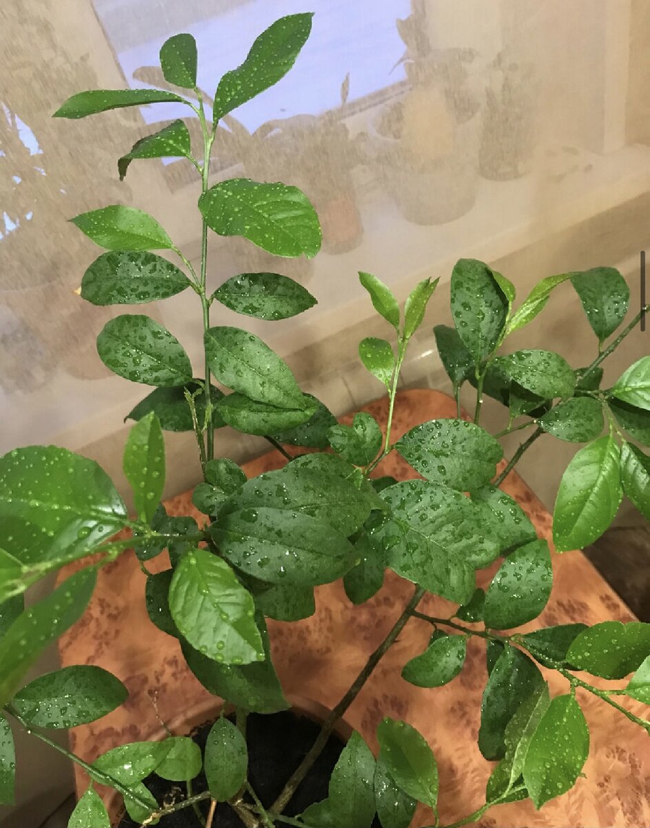 Все фото Автора канала.