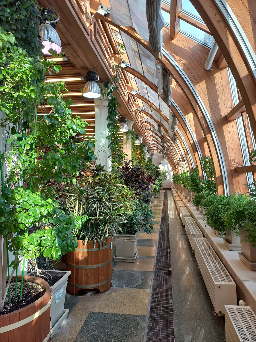 Интерьер зимнего сада. Зал зимний сад. Отель савой зимний сад. «зимний сад» оранжерея пэкстон. Зимний сад орджоникидзеуголь.